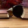 Tome of Lore (Planner) - Image 3