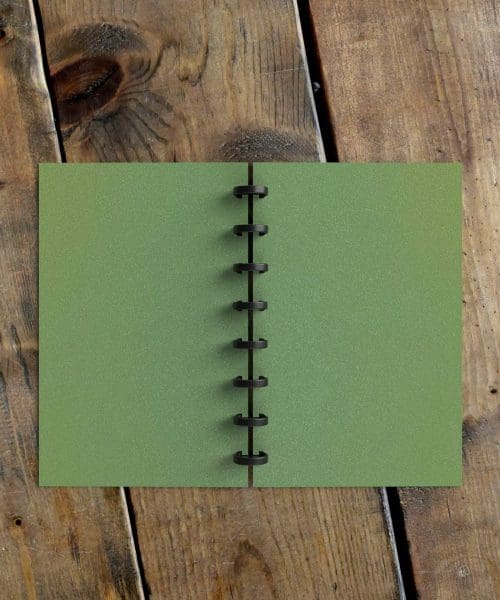 Hollow (Mix + Match) Diary